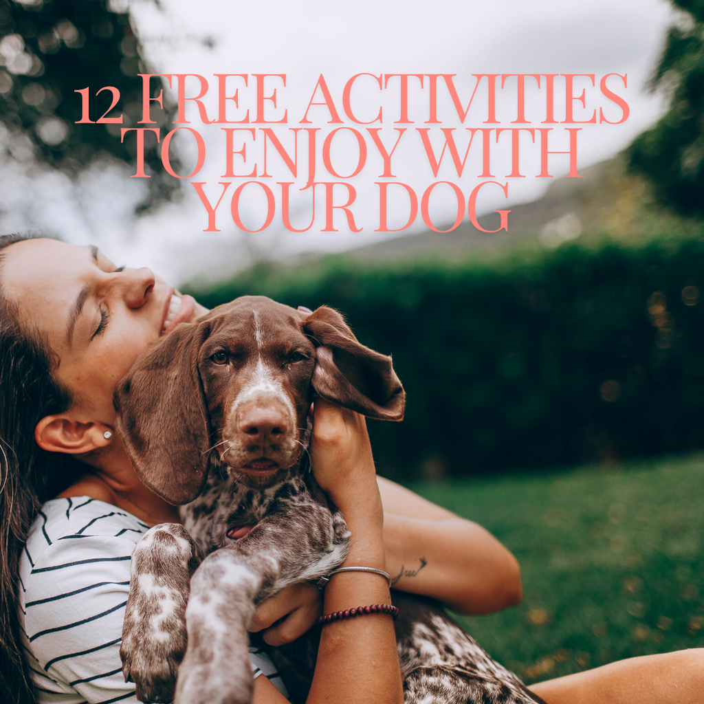 Exploring Summer Fun with Your Dog: 12 Free Activities to Enjoy Together
