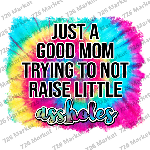 Just a Good Mom trying not to Raise little Assholes Sublimation Transfer
